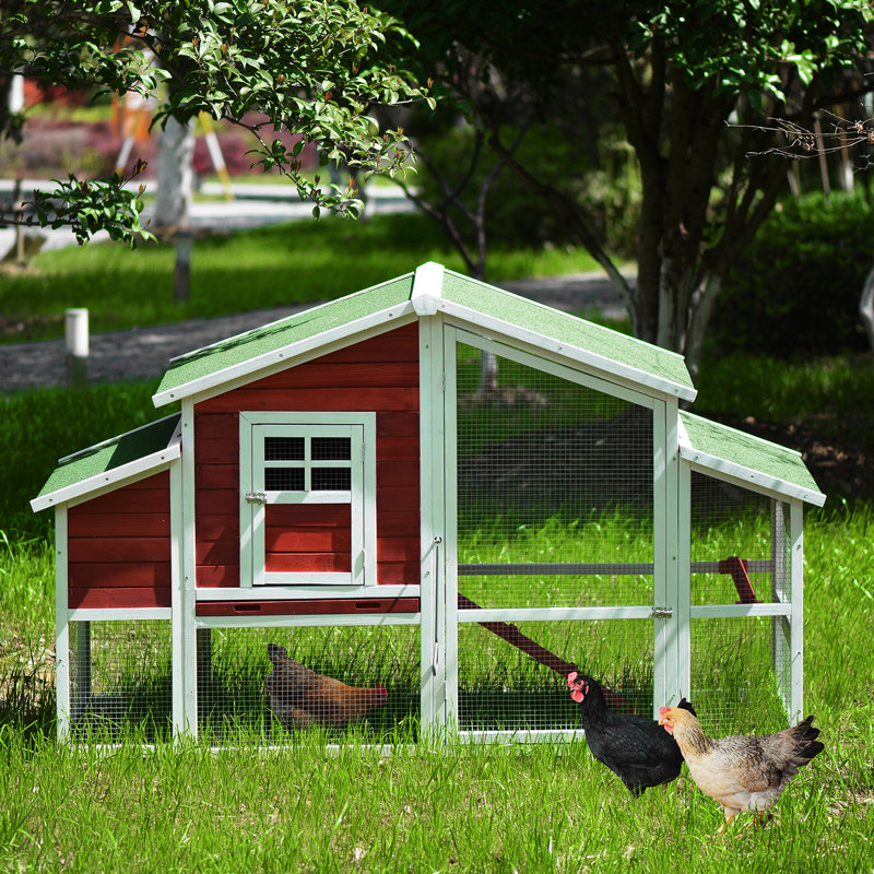 Tucker Murphy Pet™ Carrillo Chicken Coop with Chicken Run For Up To 5